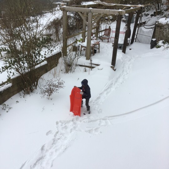 20180302 085213454 iOS