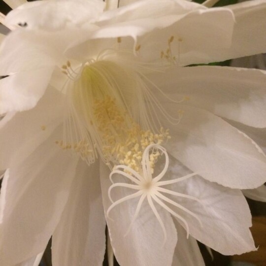 20180918 085455869 iOS