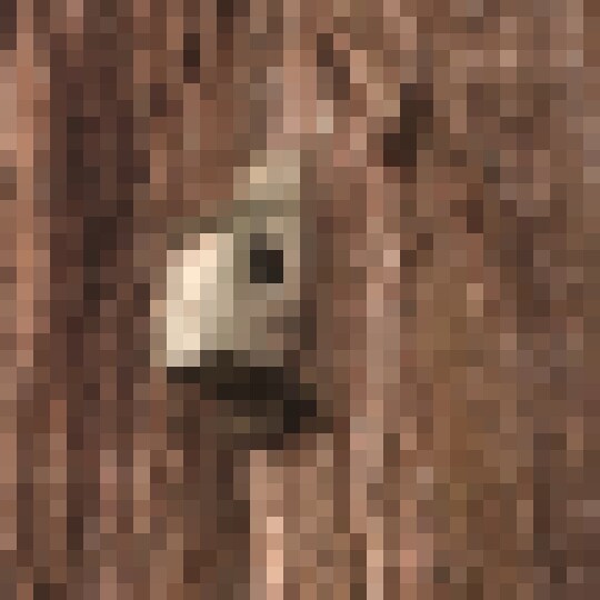 20190216 131142007 iOS