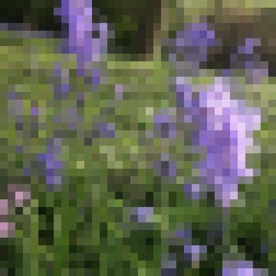 20190423 080749117 iOS