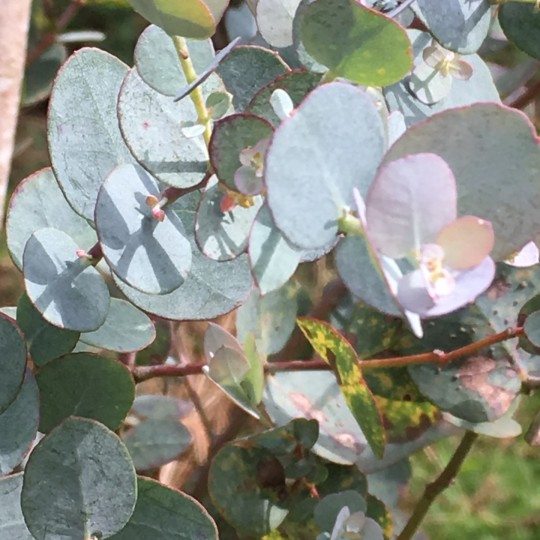 20190423 081557273 iOS v2