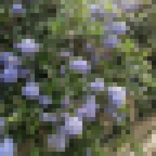 20190424 080739949 iOS