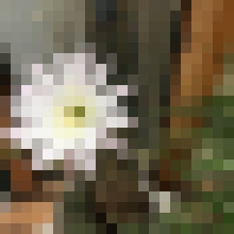 20190607 062612584 iOS