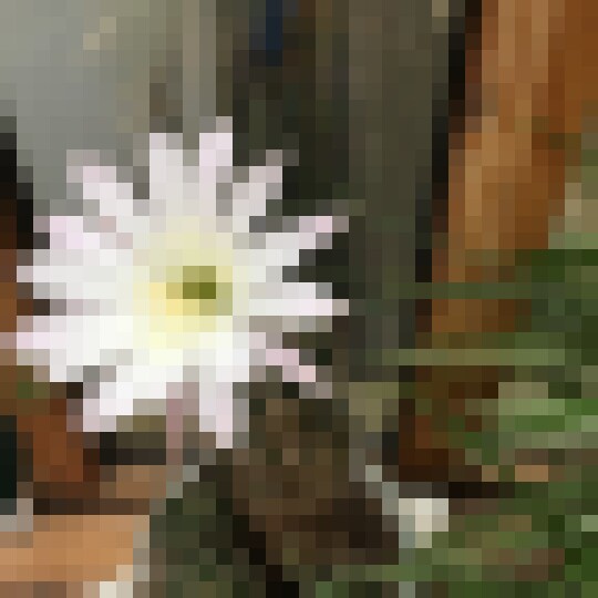 20190607 062612584 iOS
