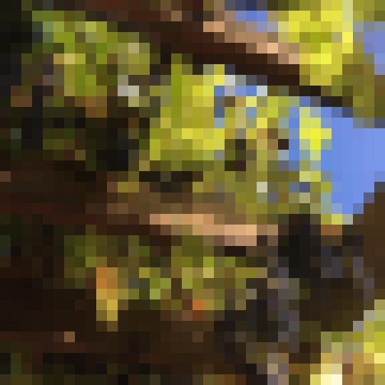 20190924 153104585 iOS