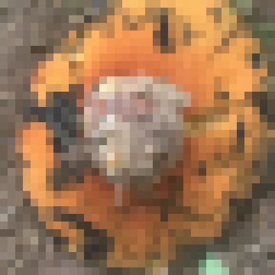 20200617 174727124 iOS