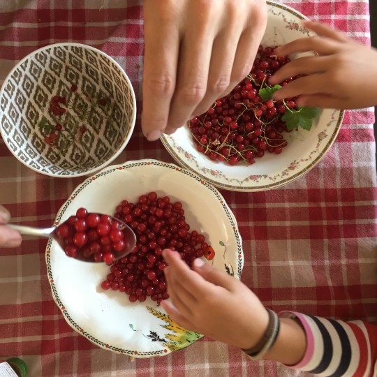 Forest of dean wills and will writing 